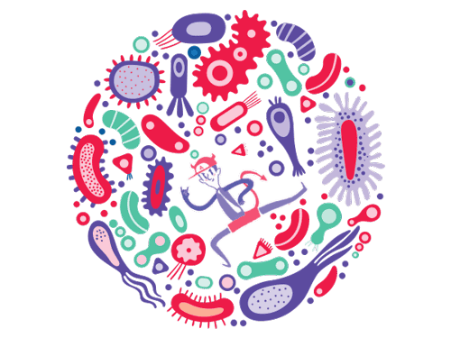 What is the difference between microbiota and microbiome?